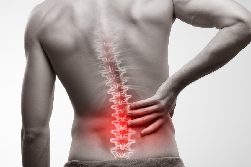 Chiropractic Services for Back Pain